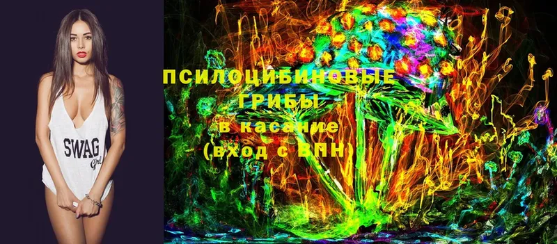 где можно купить наркотик  Городовиковск  Галлюциногенные грибы прущие грибы 